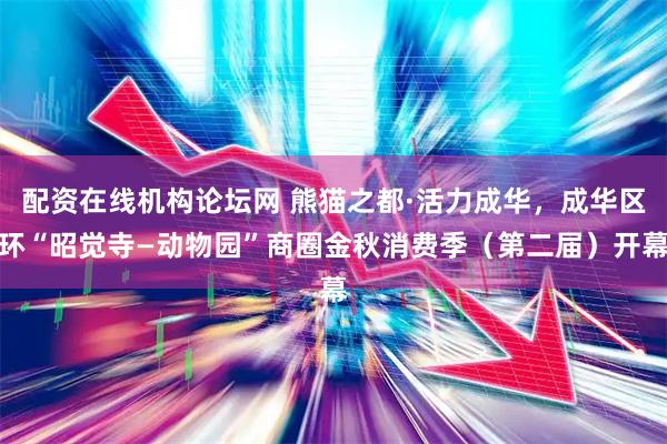 配资在线机构论坛网 熊猫之都·活力成华，成华区环“昭觉寺—动物园”商圈金秋消费季（第二届）开幕
